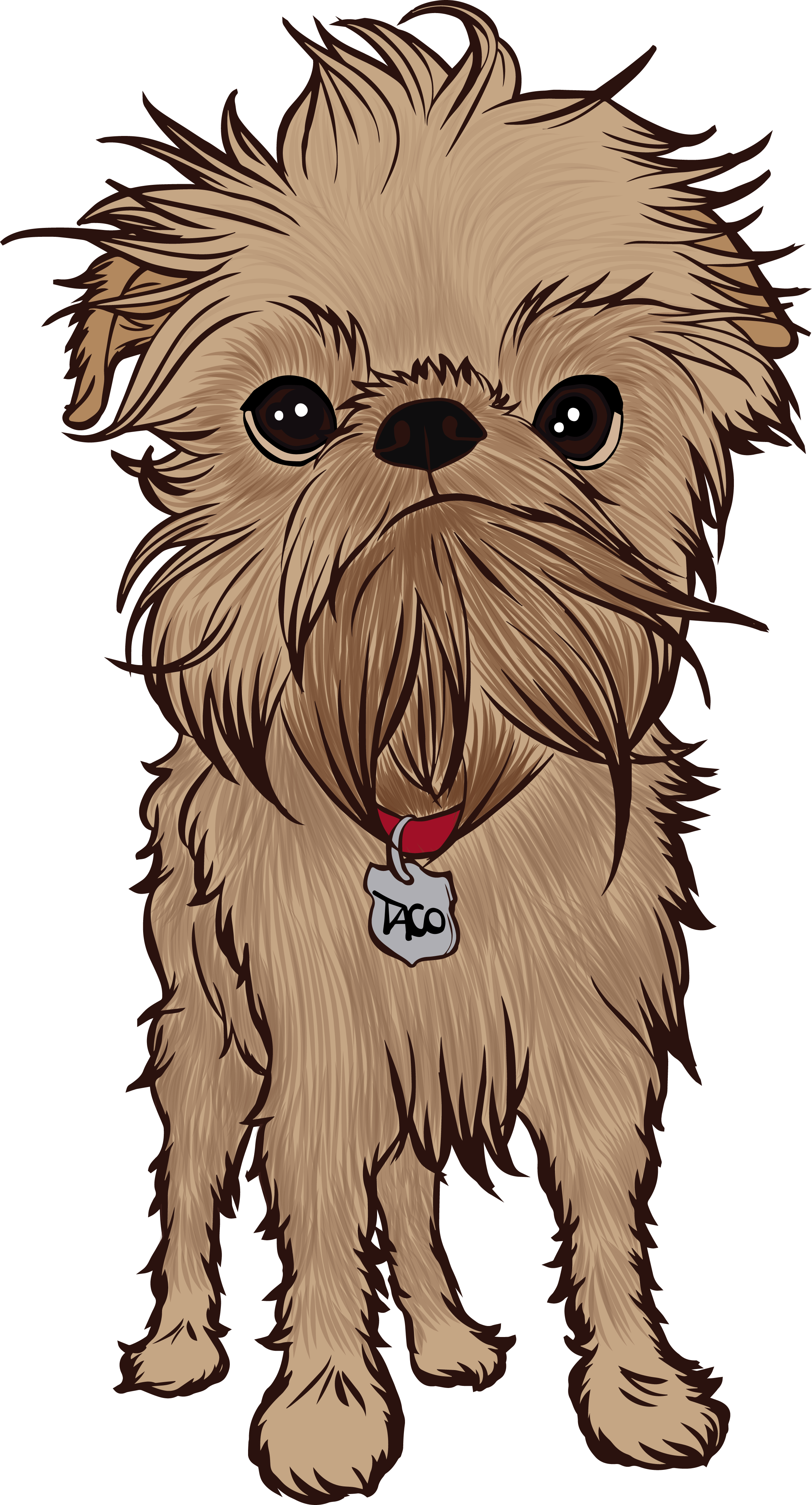 For The Background I Used A Simple Rectangle And An - Yorkshire Terrier (2360x4372), Png Download