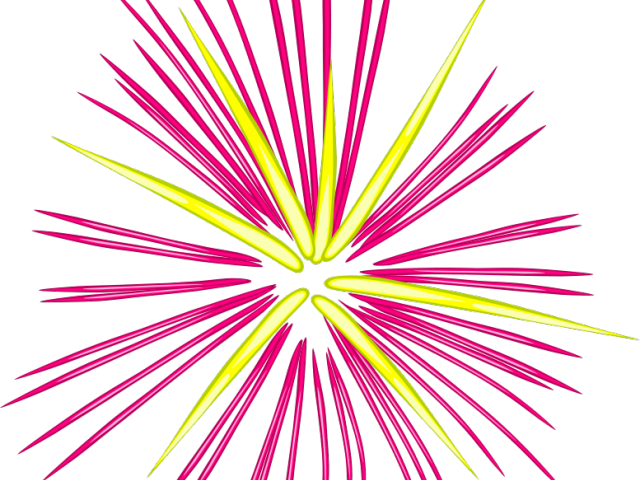Gold Clipart Firework - Fireworks Clip Art (640x480), Png Download
