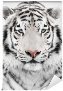 White Tiger Head Throw Blanket (400x400), Png Download