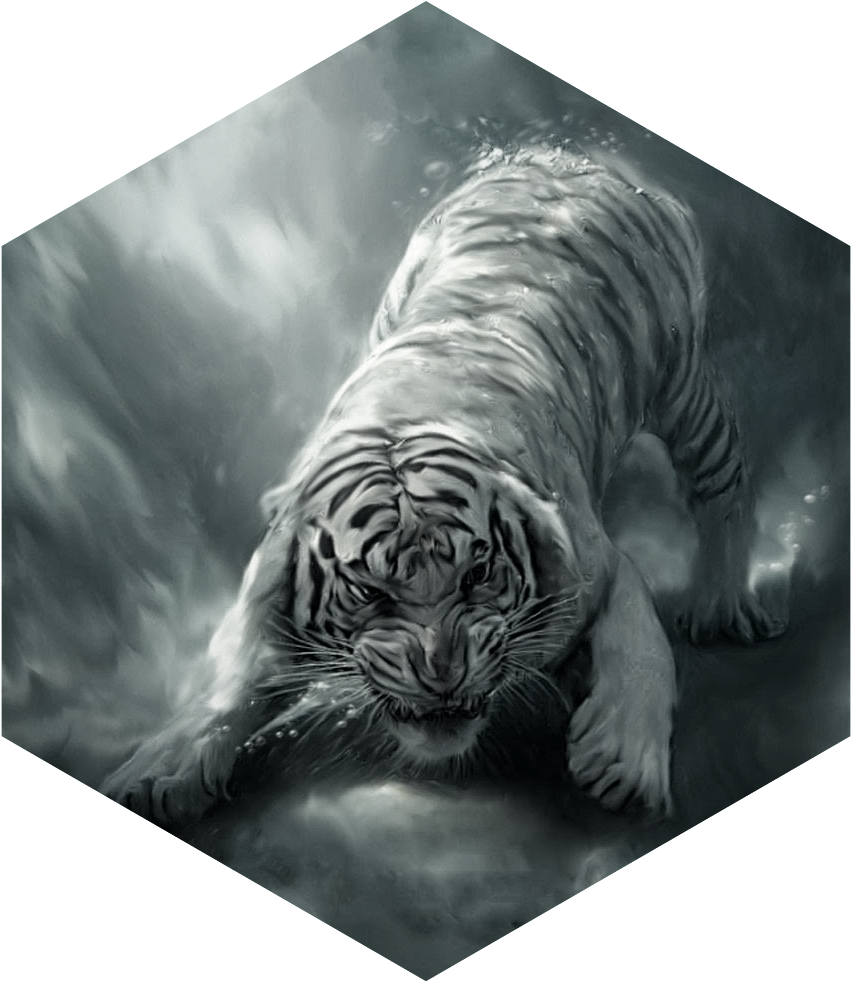 Download Painting White Tiger Angry - Hd Wallpaper Of Tiger PNG Image with  No Background 