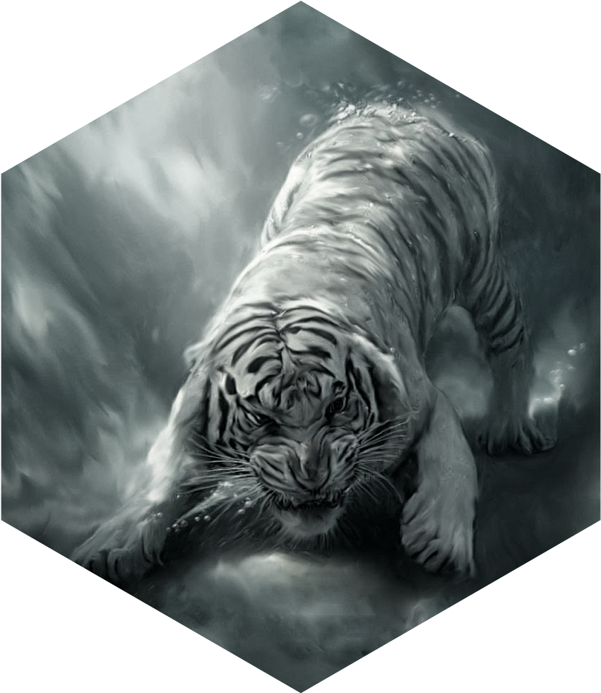 Painting White Tiger Angry - Hd Wallpaper Of Tiger (856x993), Png Download