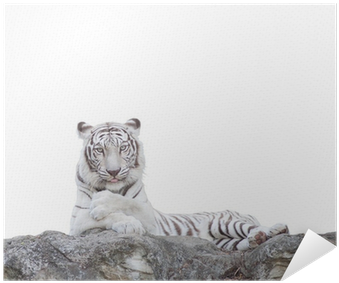 White Tiger (400x400), Png Download
