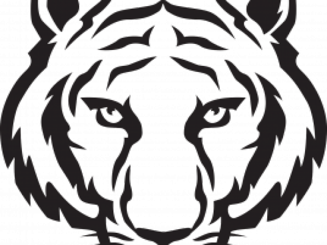 Tiger Easy To Draw (640x480), Png Download