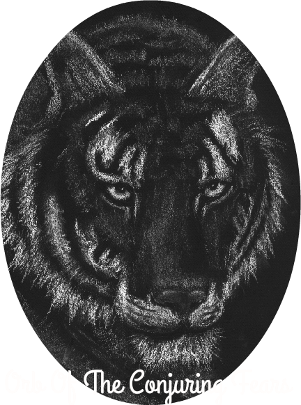 Black Tiger - Circle (432x582), Png Download
