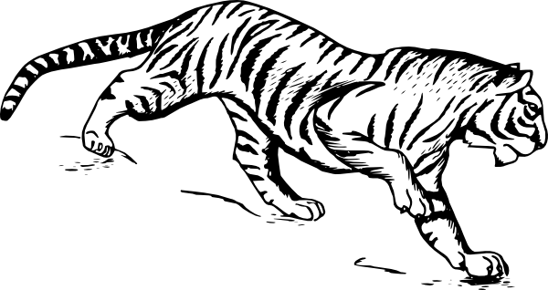 Tiger Svg Clip Arts 600 X 318 Px (600x318), Png Download