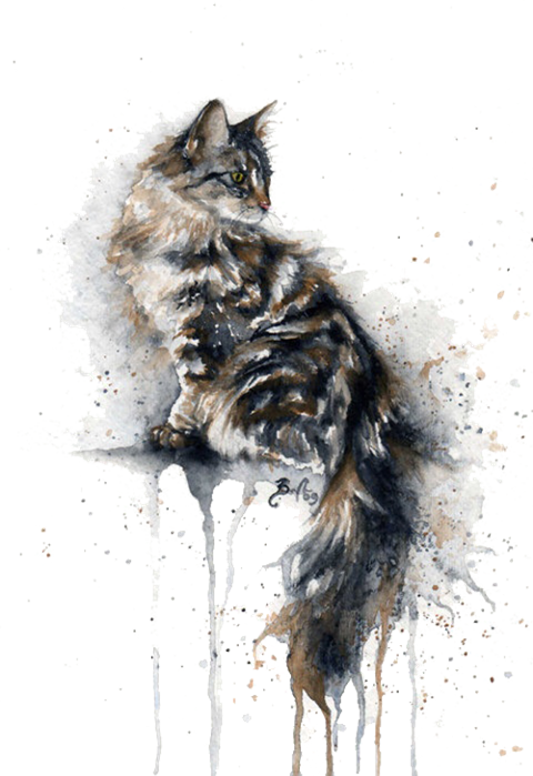 Watercolor Cat (480x699), Png Download