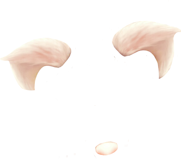 Cat Ears Png Download - Filtros De Snapchat Png (582x510), Png Download