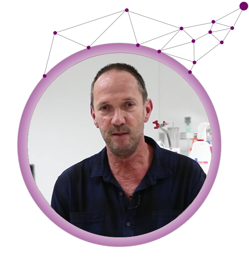 Guy Lenaers - Umbrella (513x550), Png Download