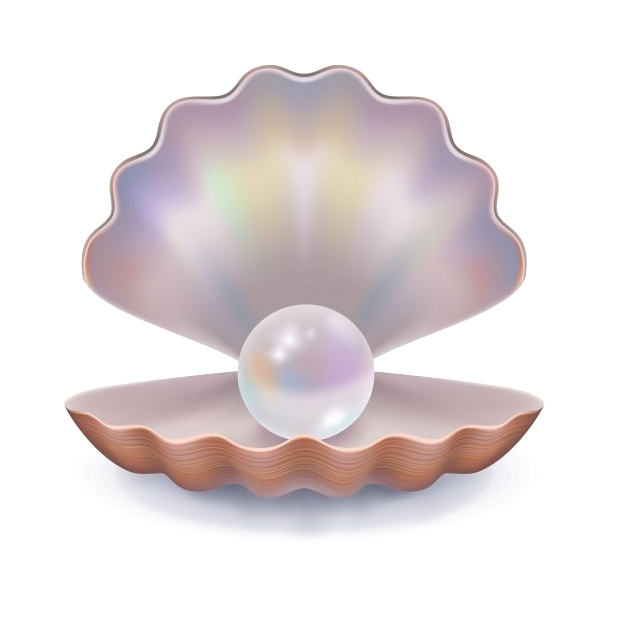 Pearl Background Png - Open Clam Shell Vector (626x626), Png Download