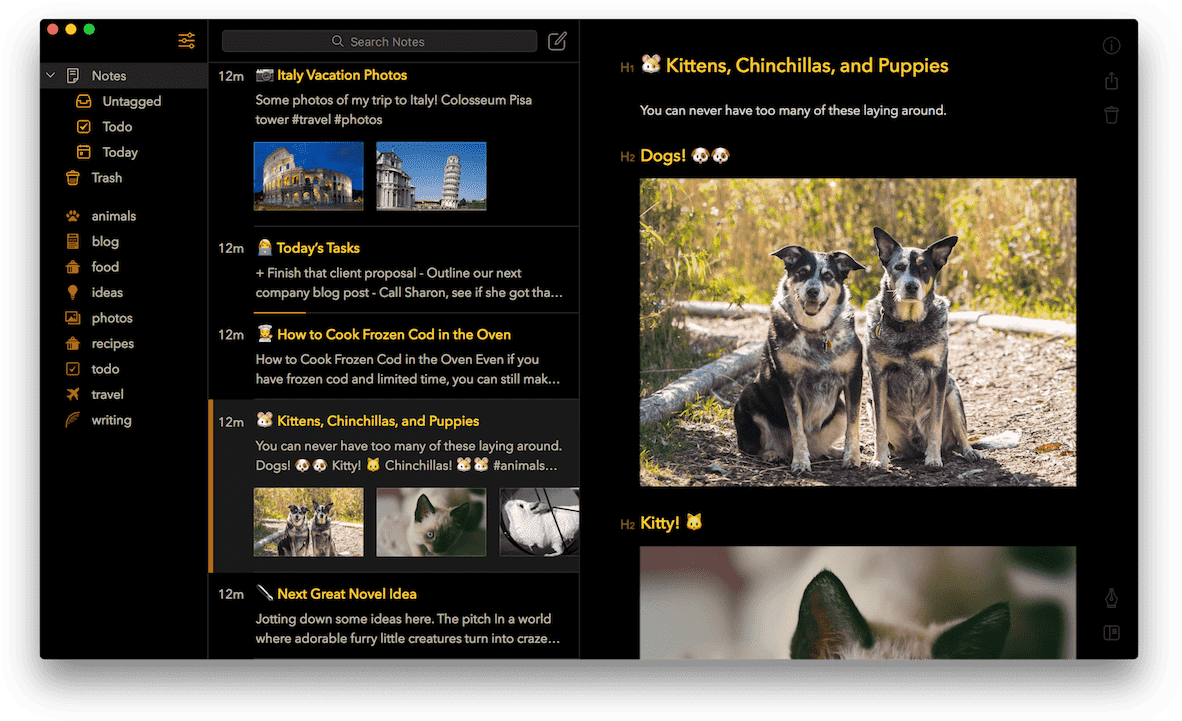 Bear 1 - 5 Hero - Bear Notes Setup (1200x742), Png Download