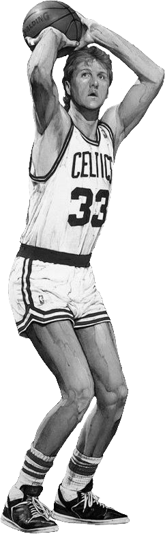 Larry Bird By Grzegorz Domaradzki - Naismith Memorial Basketball Hall Of Fame (242x780), Png Download