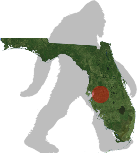 Florida Myakka Bigfoot Map - Black Florida Clip Art (500x612), Png Download