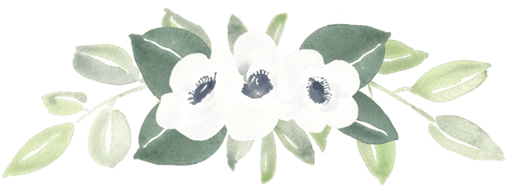 Cropped Anemone Greenery - Bengal Clockvine (877x279), Png Download