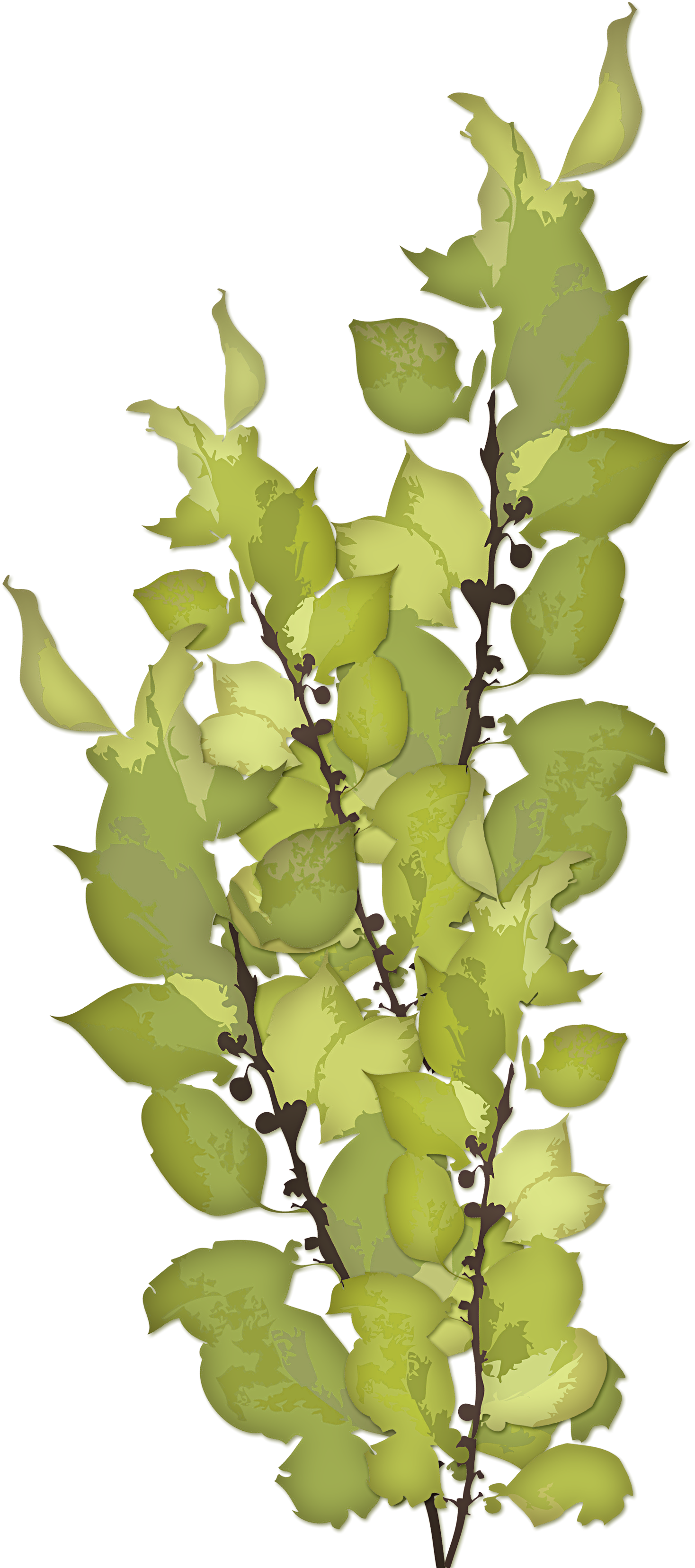 Greenery - Mother Of Sorrows Feast Day (1468x3313), Png Download
