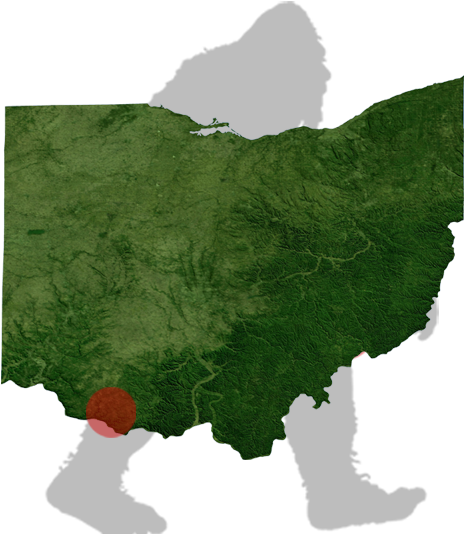 Ohio Bigfoot Map - Ohio Terrain Map (500x612), Png Download