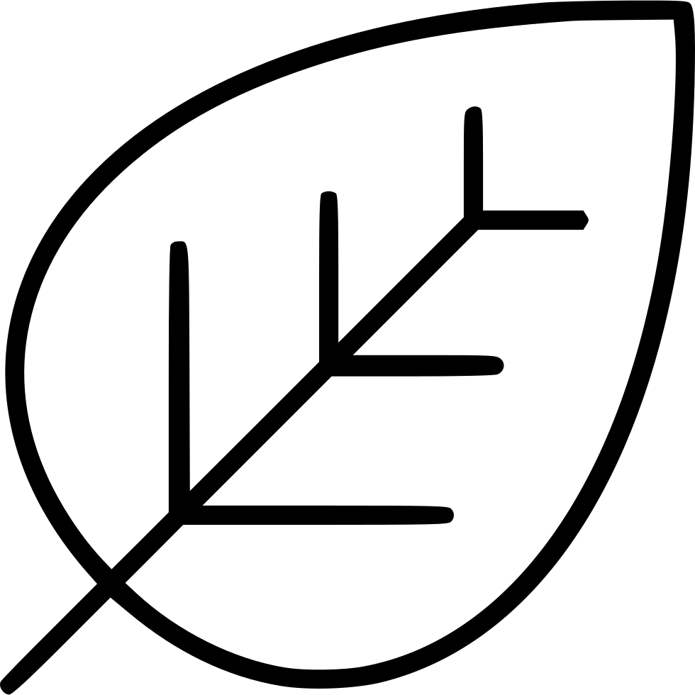 Ecology Environment Green Greenery Leaf Nature Plant - Faculdade Senai Paraíba (980x980), Png Download