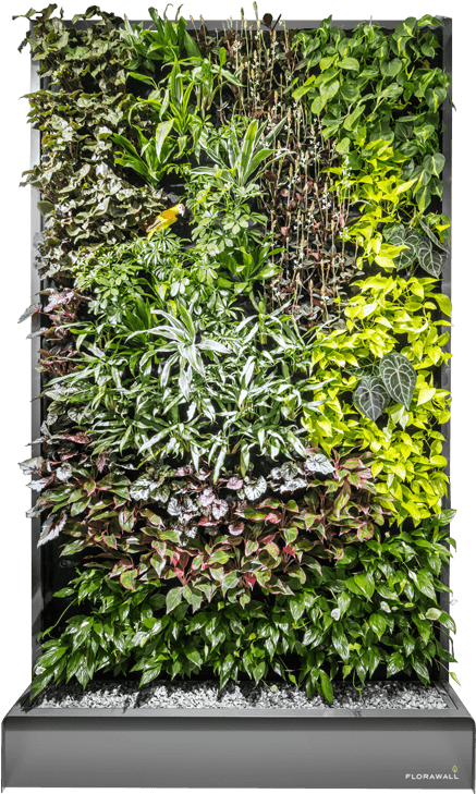 This Is The Way It Works - Transparent Green Wall Png - Free ...