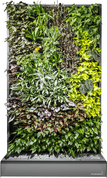 This Is The Way It Works - Transparent Green Wall Png (470x740), Png Download