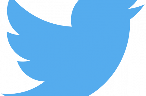 Twitter Ceo On The Right Way To Build An Edit Button - Twitter Logo Vector Grey (484x320), Png Download