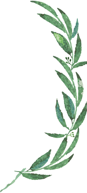 Mckenzie Botanicals - Wedding (295x659), Png Download