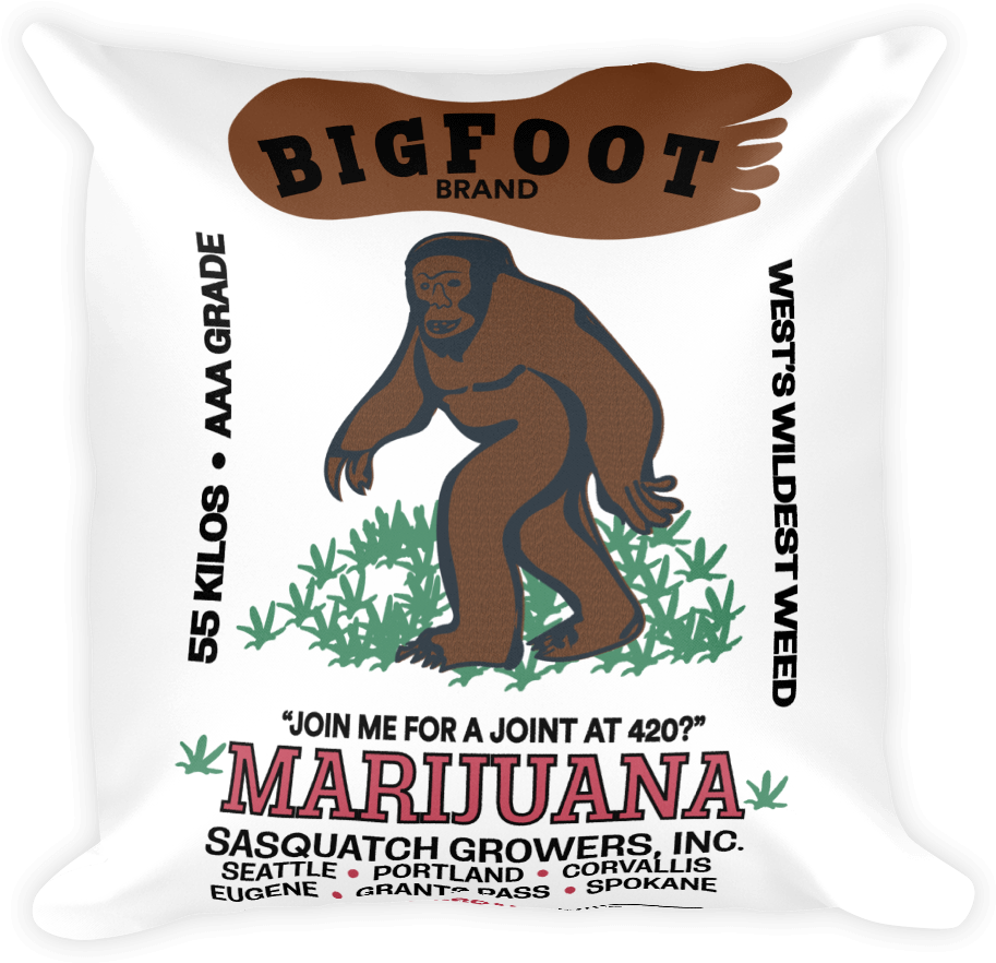 Square Pillow - Shirt (1000x1000), Png Download