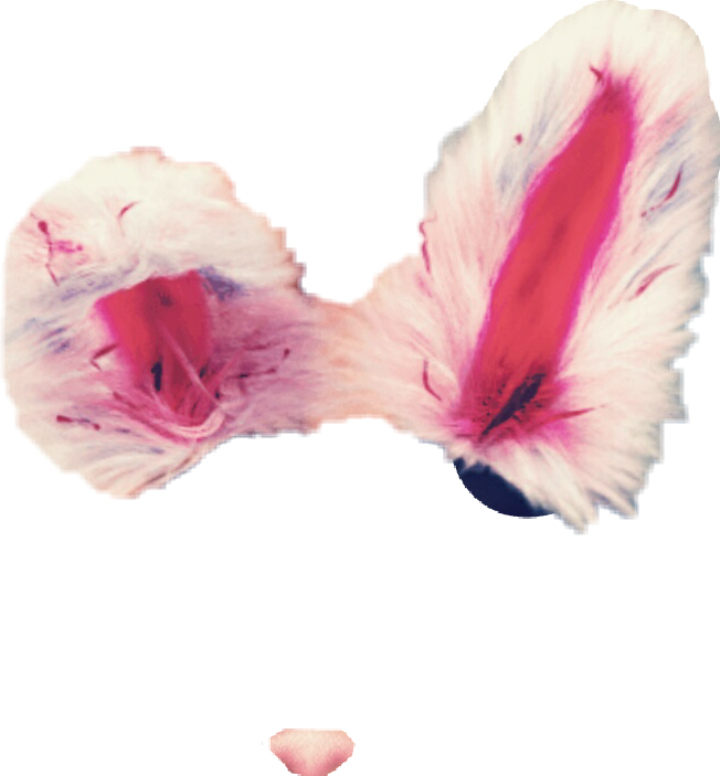 Fluffy Bunny Ears Fluffy Snapchatfilter Rabbit Ears - Rabbit (652x703), Png Download