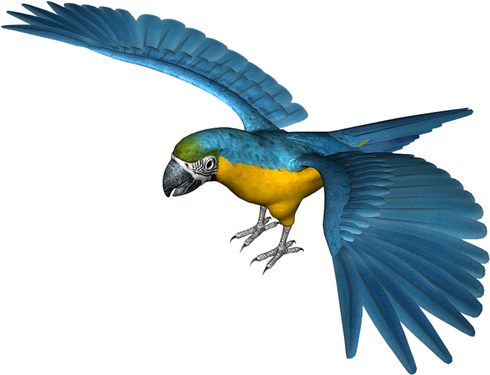 Large Blue Parrot Png Clipart - Blue Parrot Png (600x462), Png Download