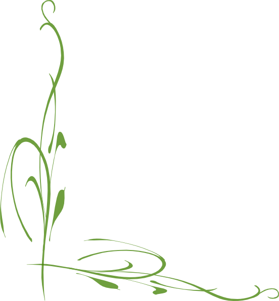 Vine Clipart Vine Border - Green Vine Border Clipart (552x596), Png Download