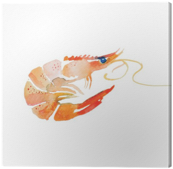 Shrimp Watercolor (400x400), Png Download
