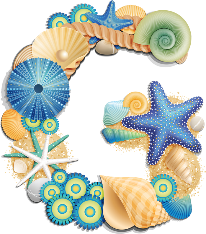 Clip Art Freeuse Stock Beach Shells Pinterest Shell - Beach Letter G (697x800), Png Download