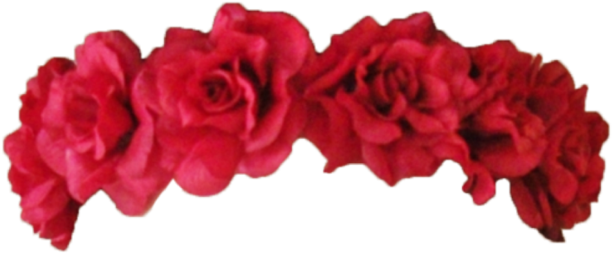 Flower Crown Transparent Overlay - Red Flower Crown Png (500x287), Png Download