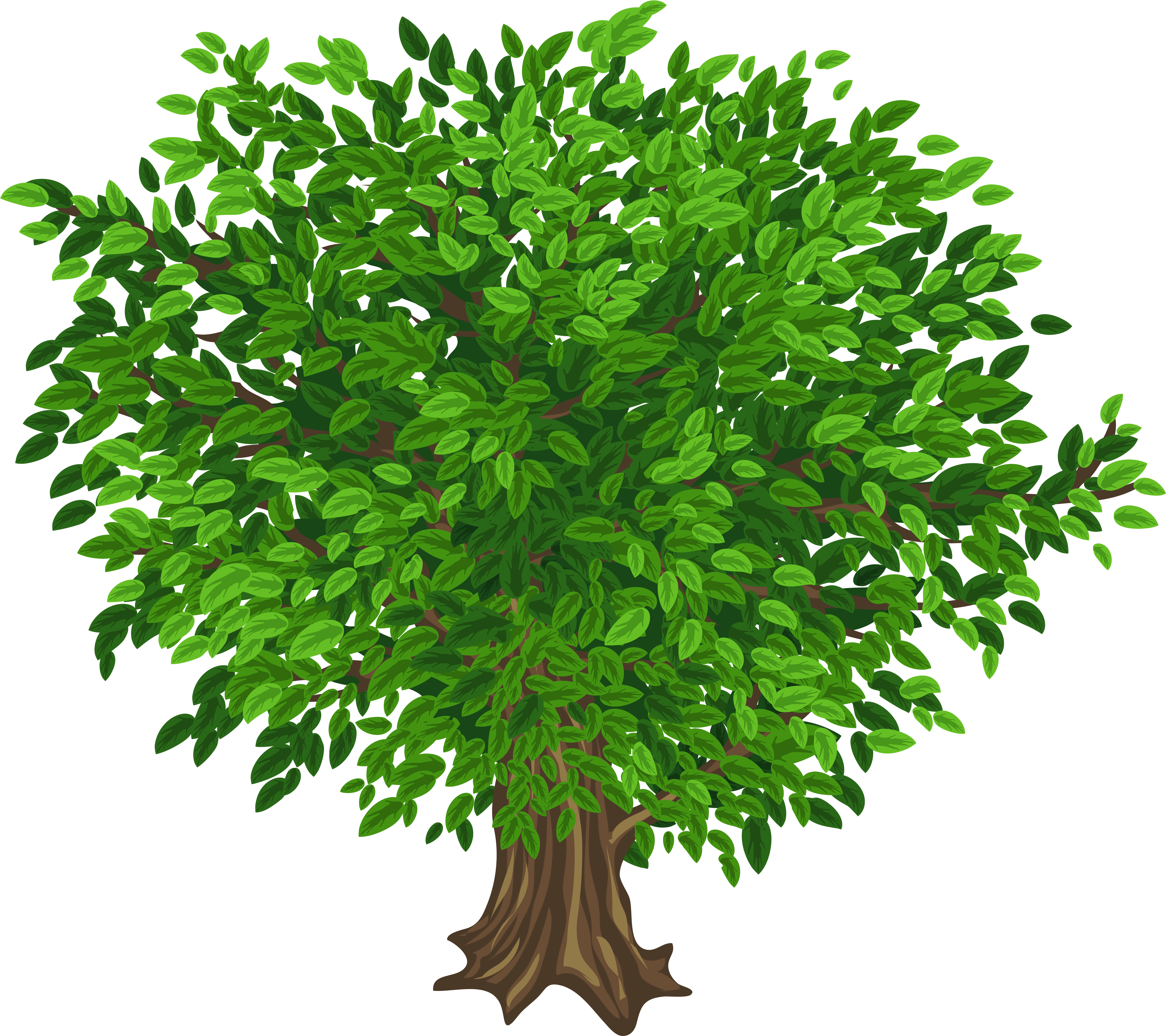 Tree Png - Clip Art (600x534), Png Download