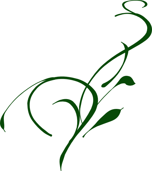 Vines Png (528x595), Png Download