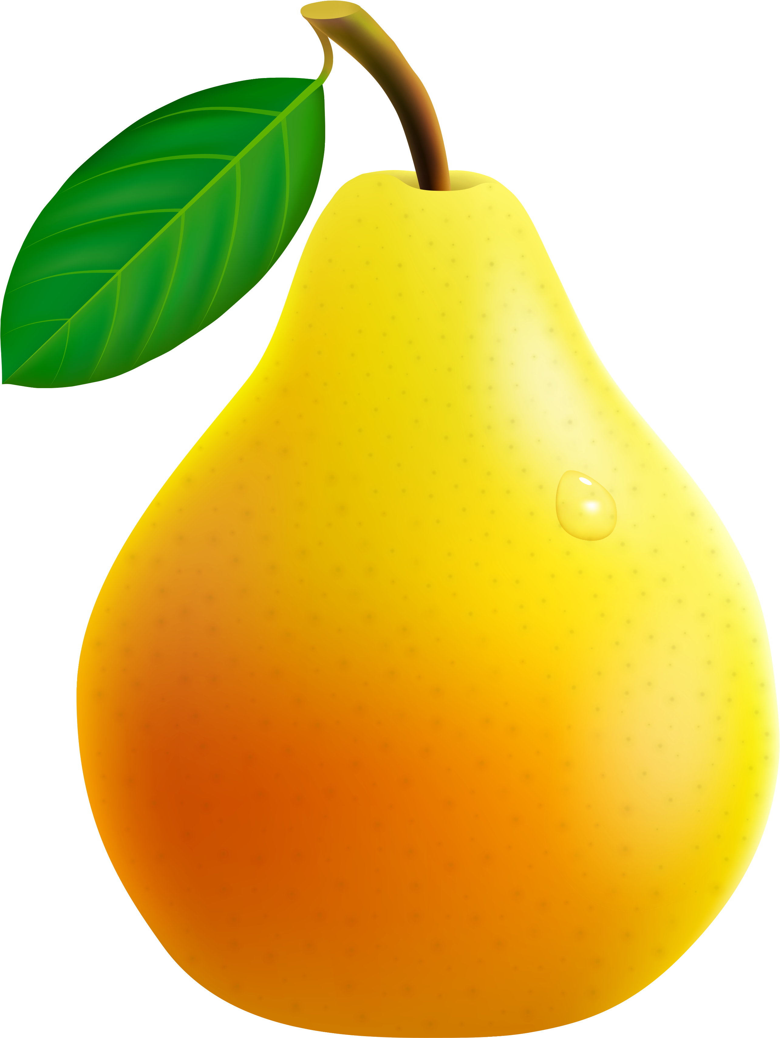 Pear Clipart Png (2761x3581), Png Download