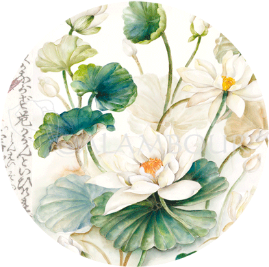 20 Gr - - Porcelain (421x421), Png Download