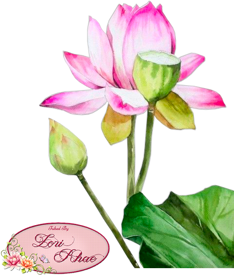 Bookmark Our Page, Follow Us On Google, And Come Back - Watercolor Painting (500x650), Png Download