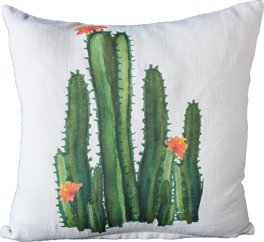 Watercolor Tall Cacti - Watercolor Painting (900x824), Png Download