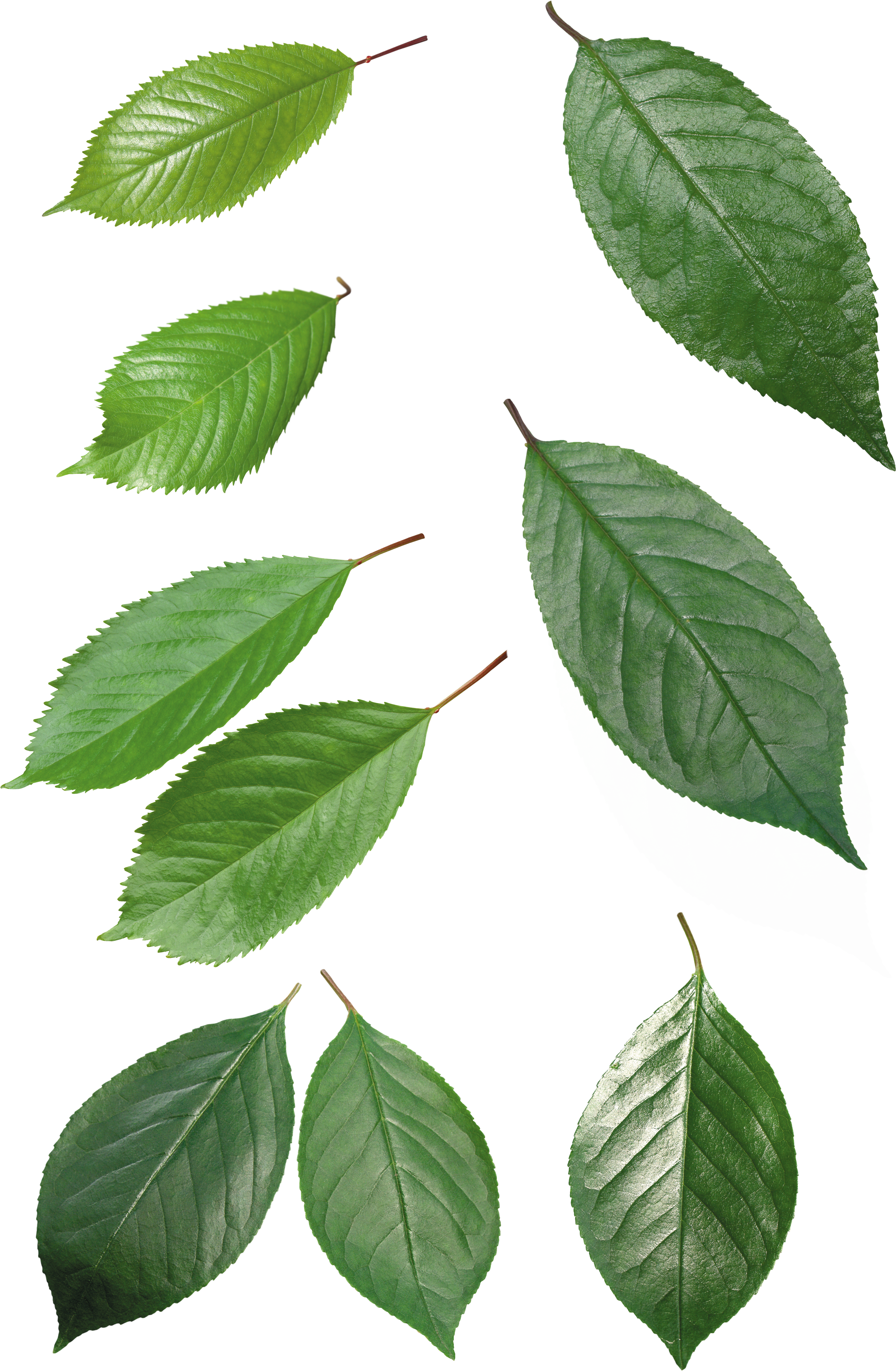 Explore These Ideas And More (3357x5139), Png Download