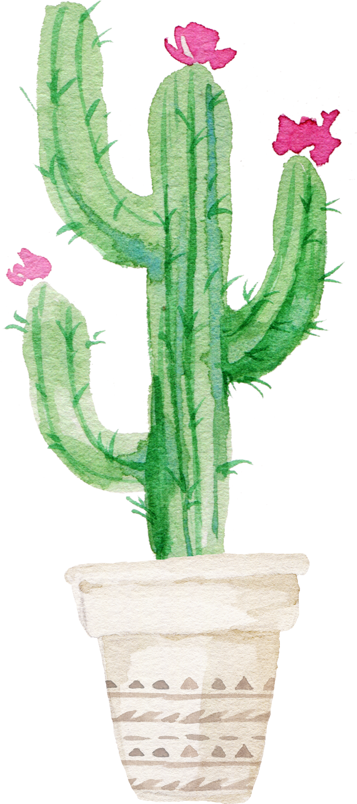 Succulent Plant Watercolor Painting - Watercolor Cactus (1215x2721), Png Download