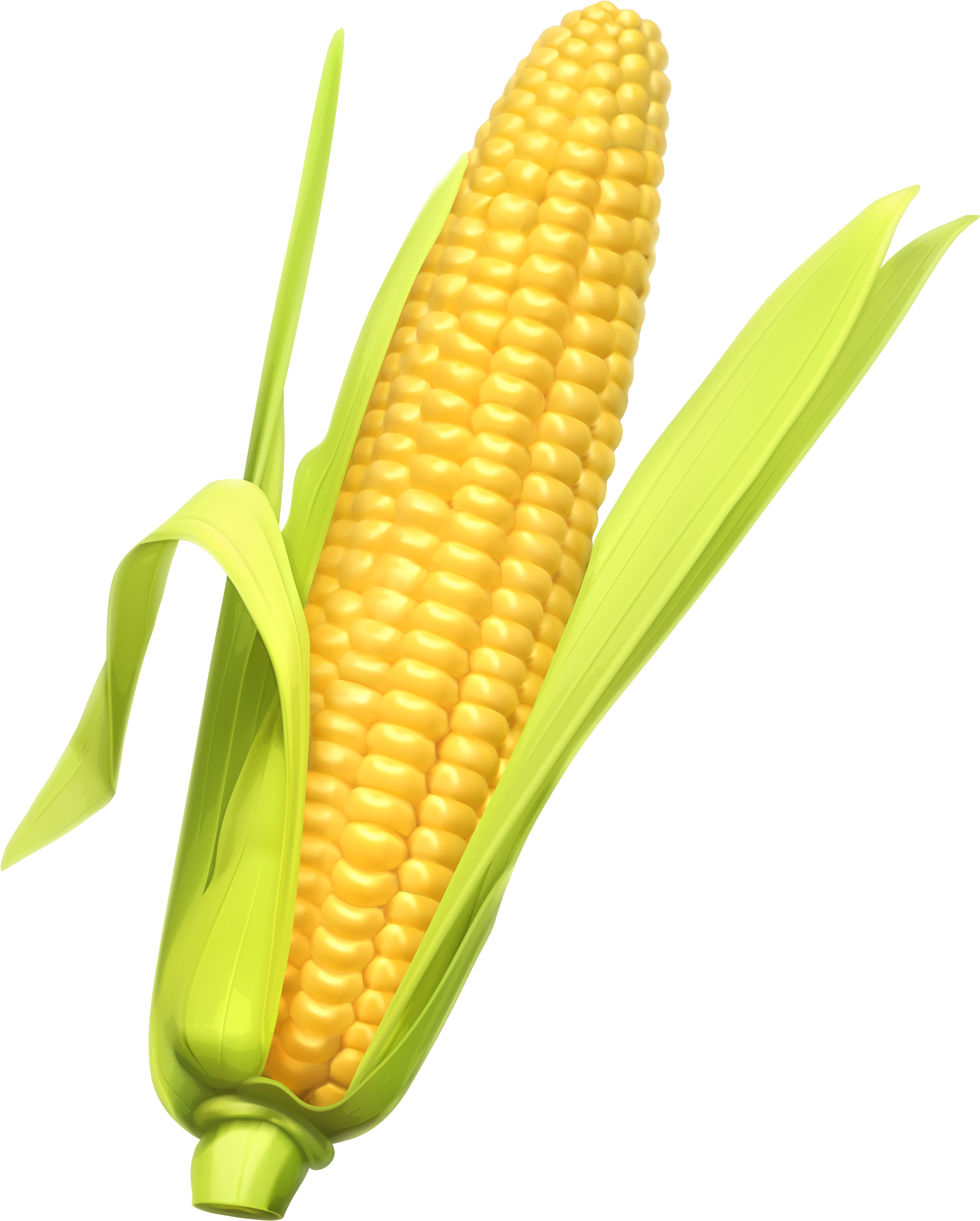 Corn Wallpapers) Free Backgrounds And Wallpapers - Corn Png (2863x3500), Png Download