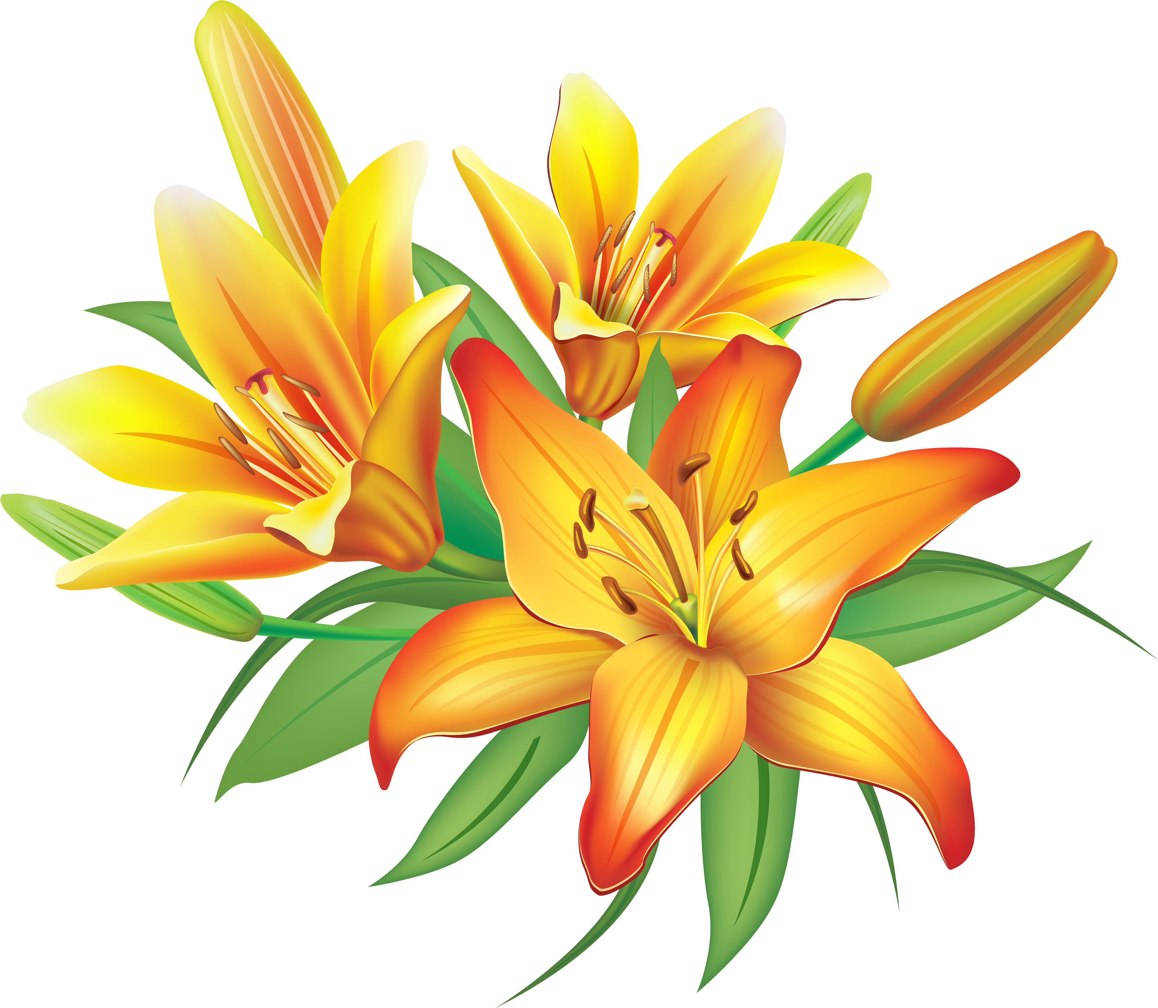 Yellow Flower Clipart Png Format - Clipart Of Lily Flower (4000x3483), Png Download
