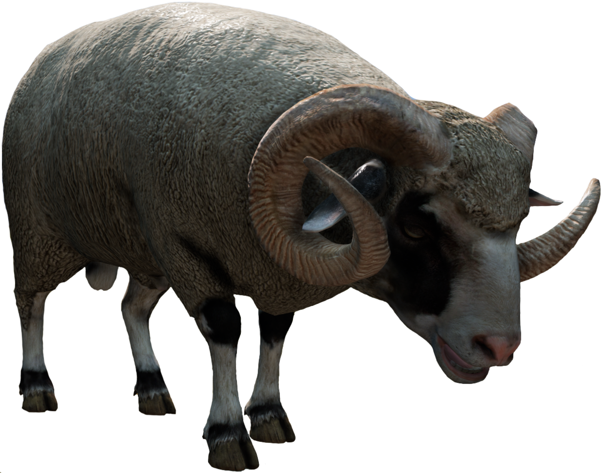 Sheep (1200x943), Png Download