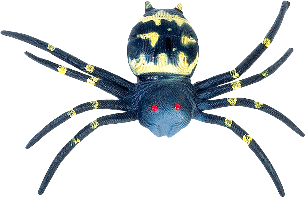 Free Png Spider Png Images Transparent - Southern Black Widow (850x628), Png Download