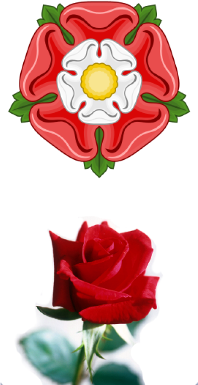 Tudor And Red Roses - English Rose (270x540), Png Download
