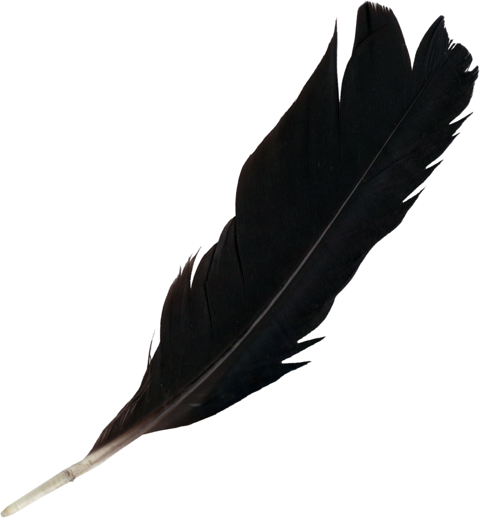 Black Feather Png (933x1008), Png Download