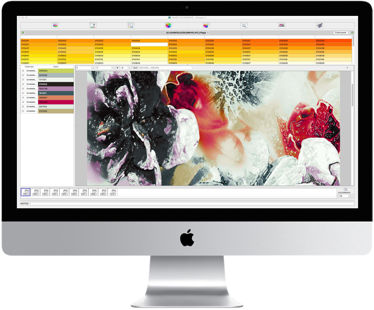Color- - Freshwater Library (763x630), Png Download
