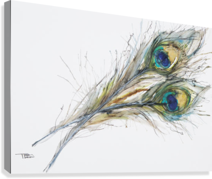 Watercolor Painting Of Two Peacock Feathers - Watercolor Painting Of Two Peacock Feathers Canvas (428x362), Png Download