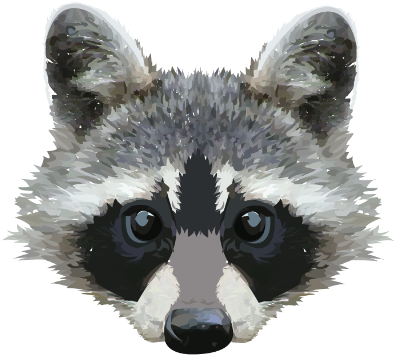 Raccoon Face Png (400x400), Png Download