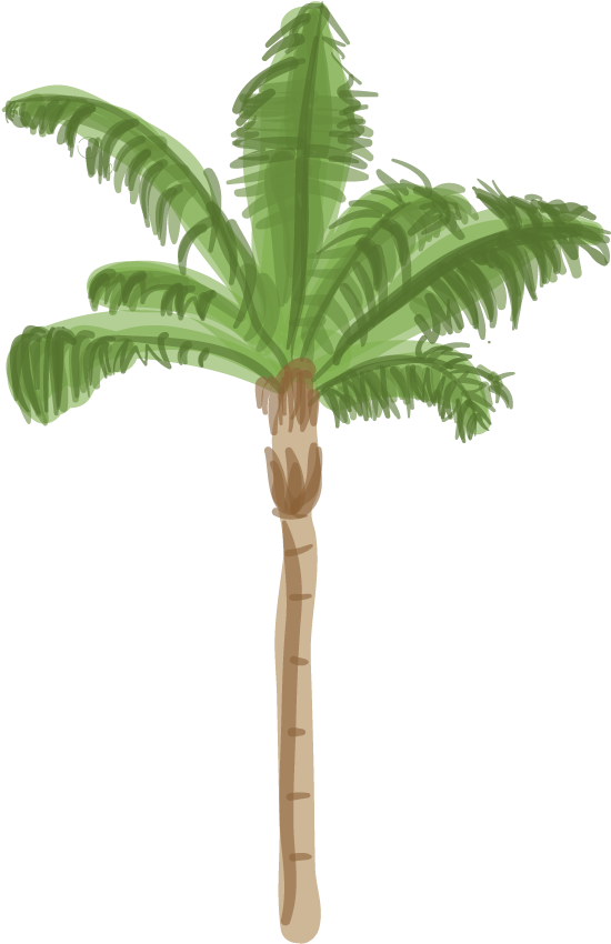 Canary Island Date Palm - Palm Tree Base Png (605x884), Png Download