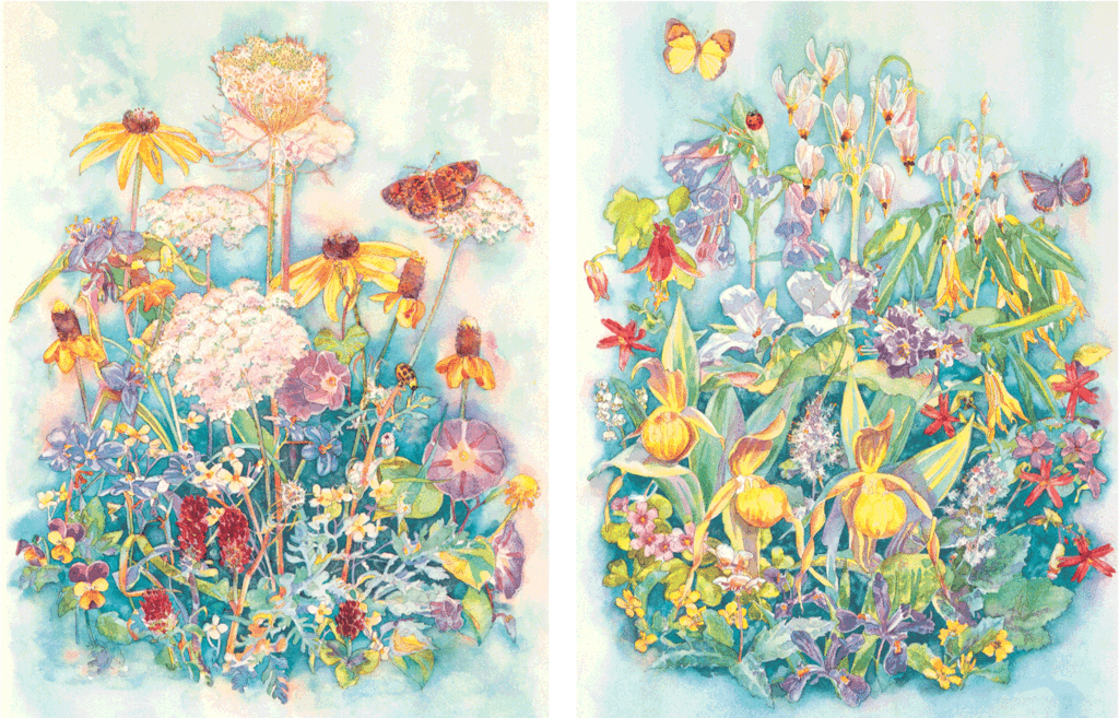 Wildflowers I & Ii - Watercolor Painting (1024x657), Png Download